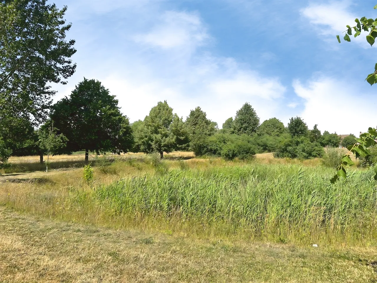 Priors Grove Close, Warwick, photo 8