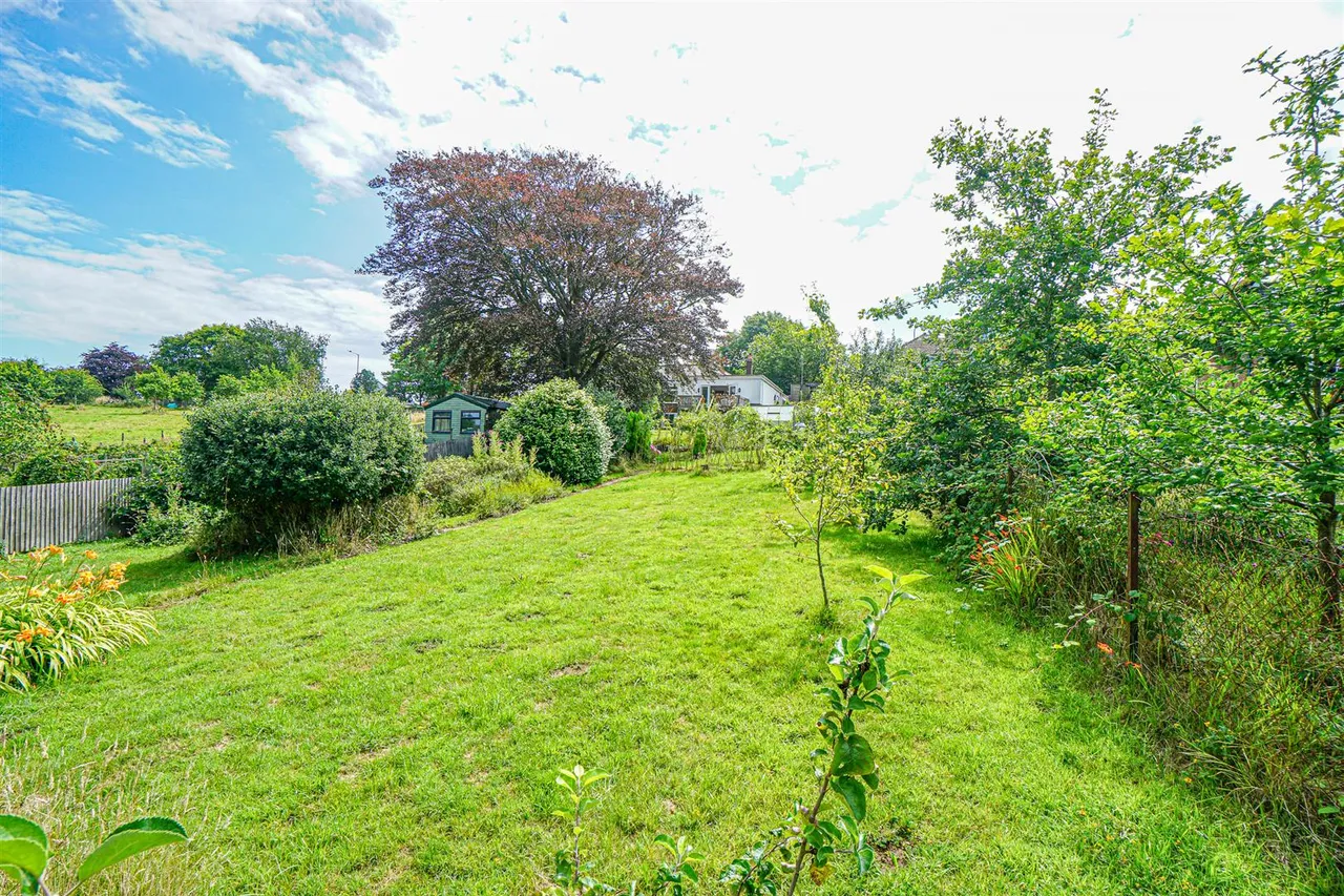 Rye Road, Hastings, photo 6