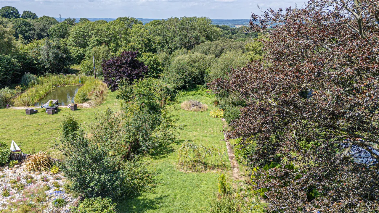 Rye Road, Hastings, photo 14