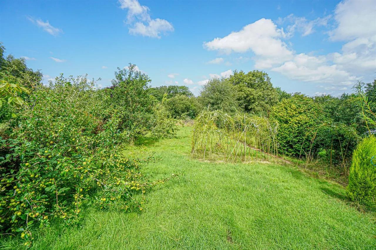 Rye Road, Hastings, photo 7