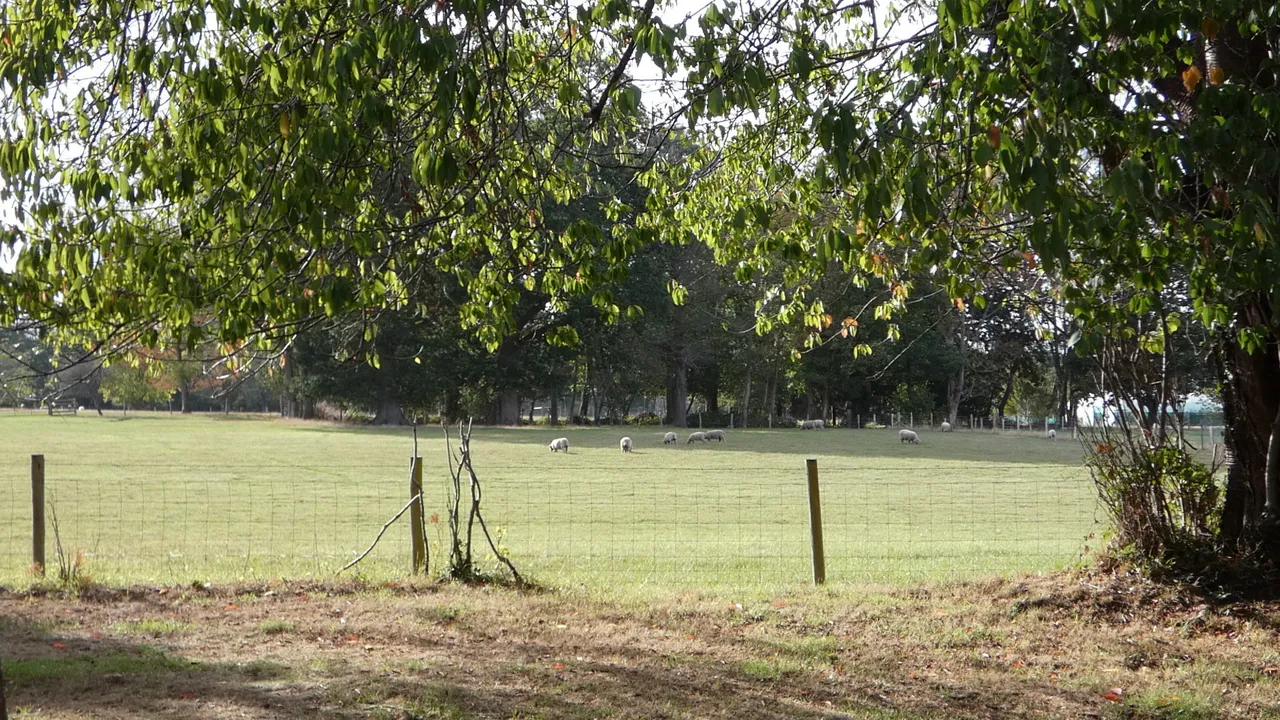 Leggs Lane, Langton Green, photo 10