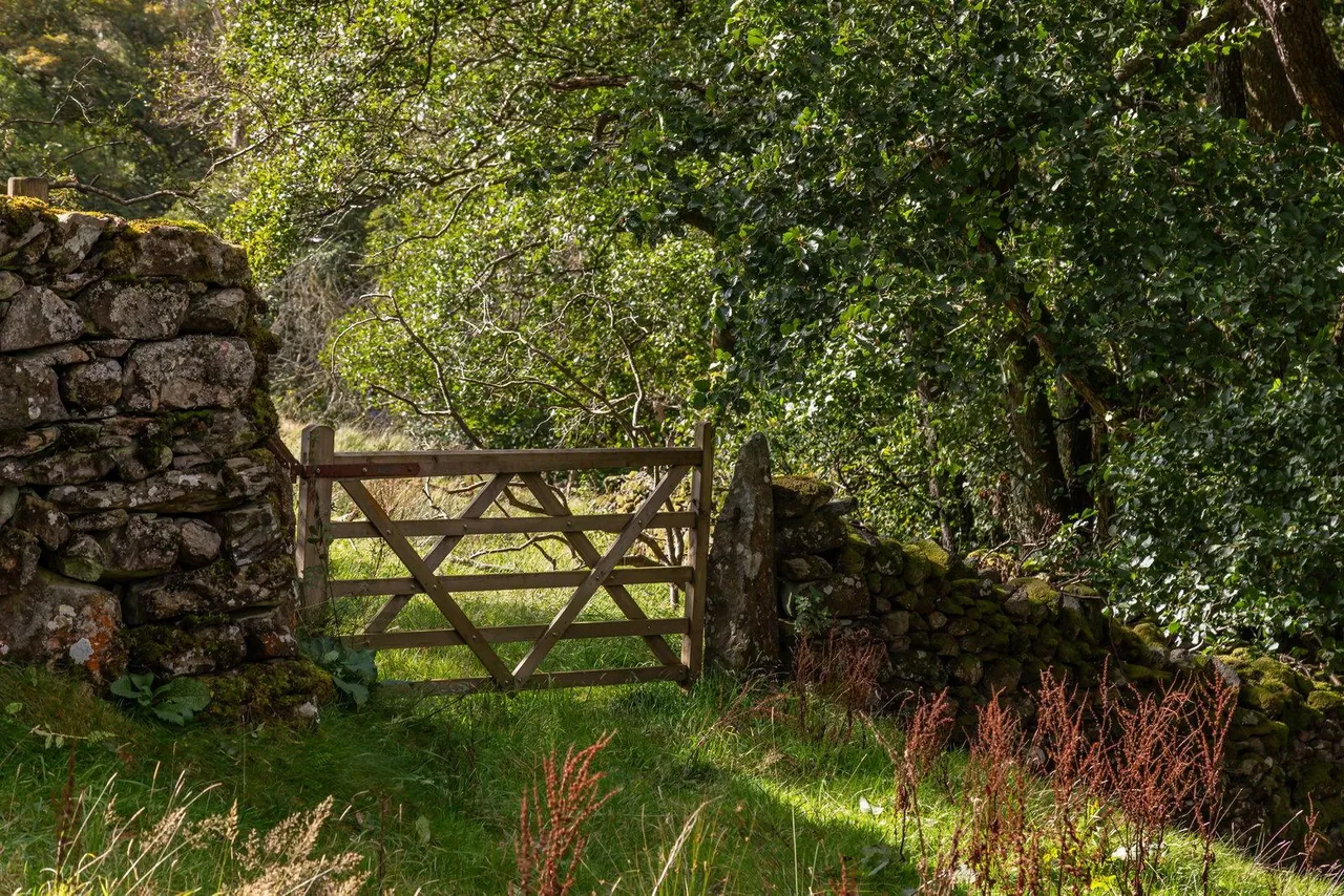 Low Whineray Ground, Broughton-In-Furness, LA20, photo 21
