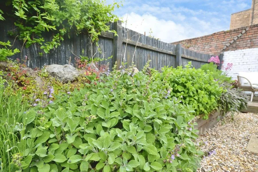 Diamond Street, Adamsdown, CF24, photo 26