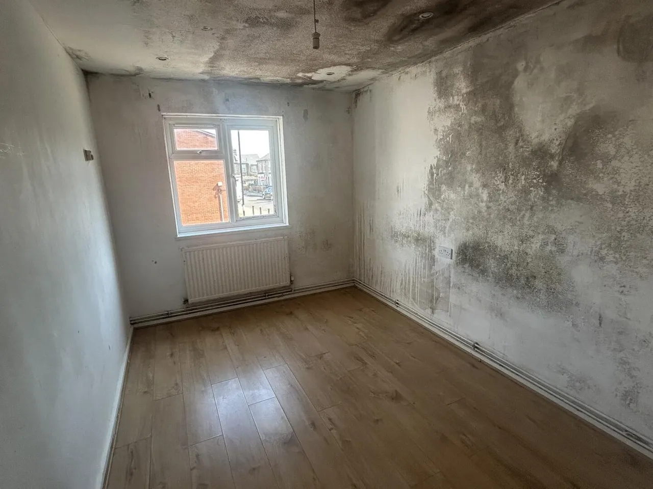 Albert Road, South Norwood, photo 6