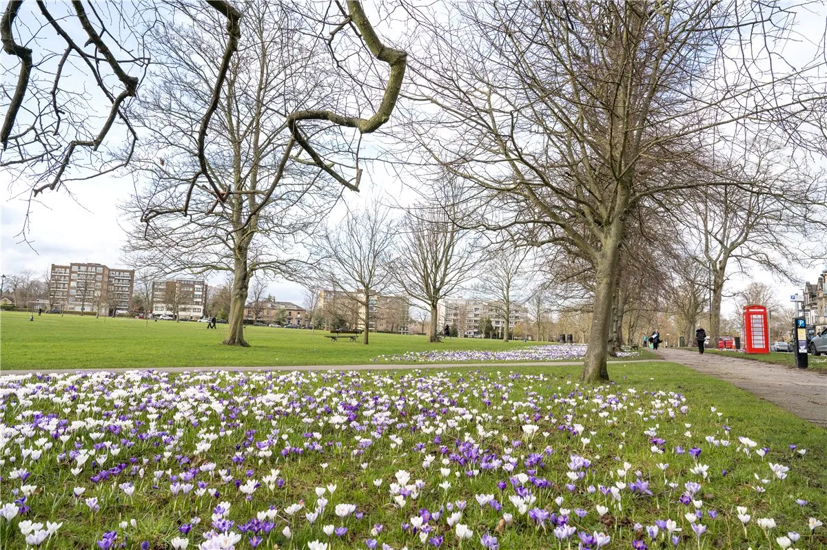 West Park, Harrogate, HG1, photo 3