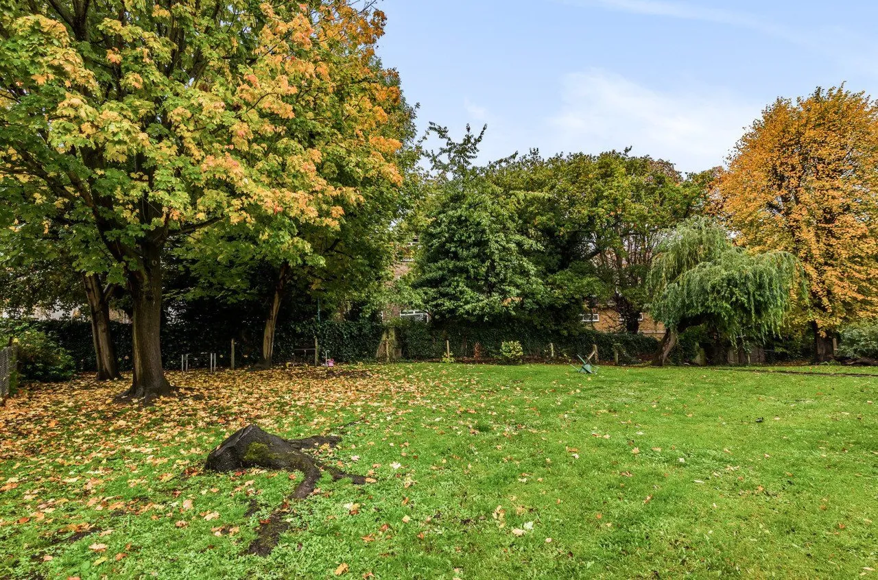 Lake Road, Wimbledon, SW19, photo 8