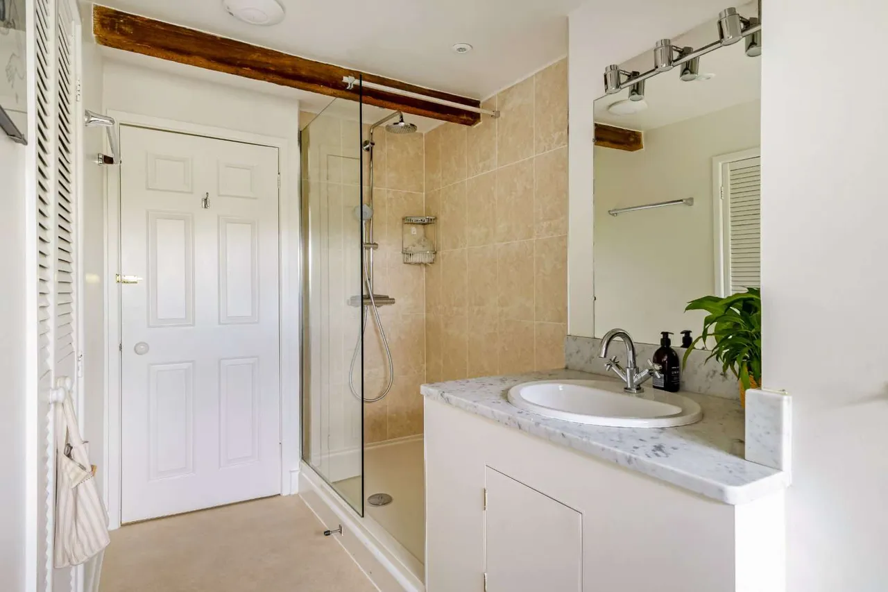 Throop Road, Bournemouth, BH8, photo 17