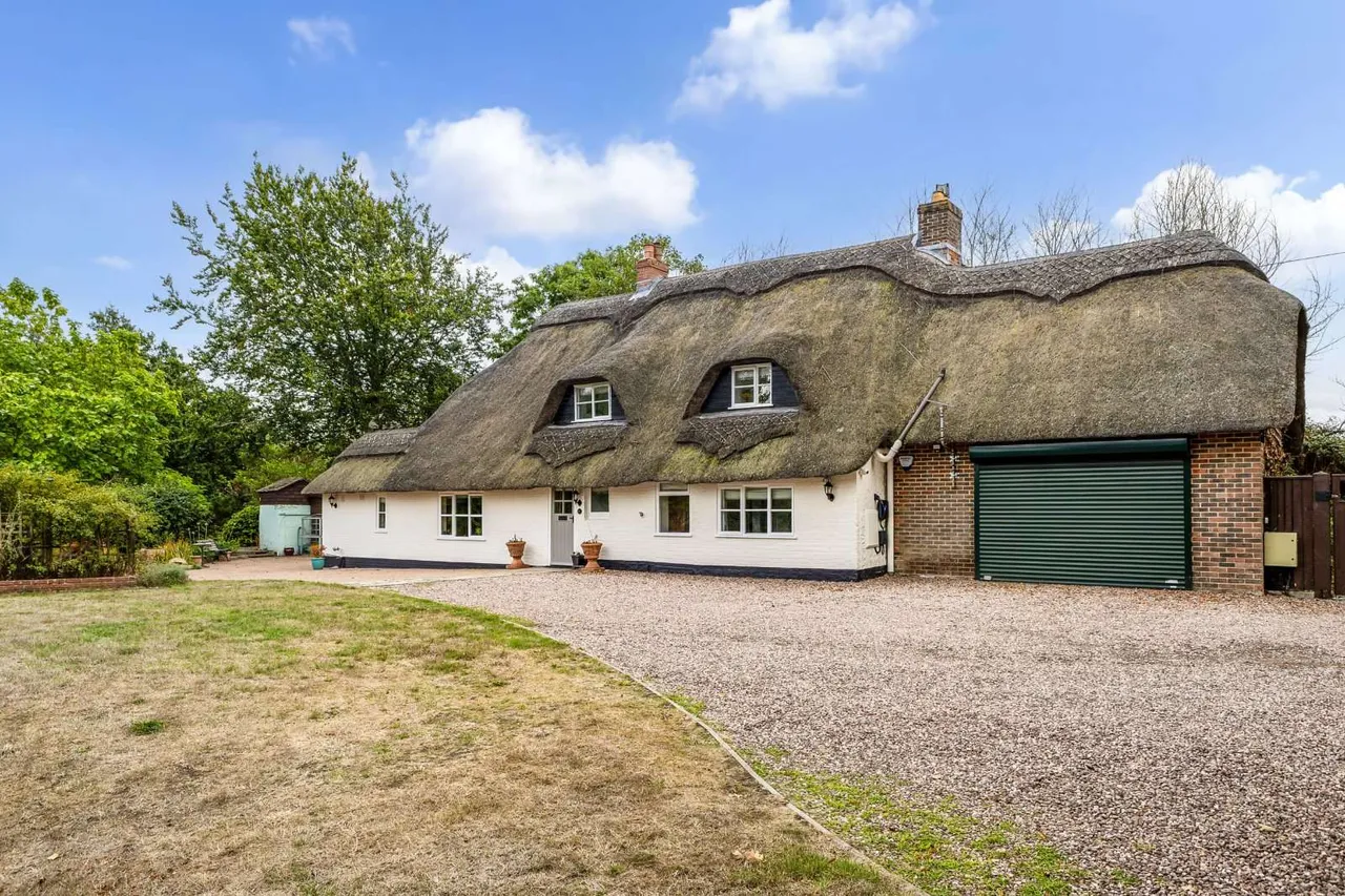 Throop Road, Bournemouth, BH8, photo 29
