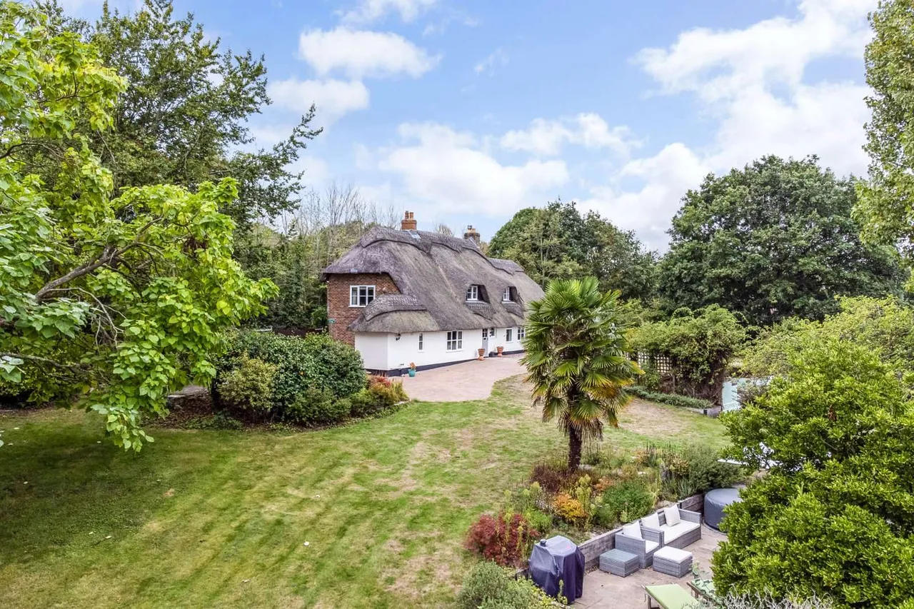 Throop Road, Bournemouth, BH8, photo 19