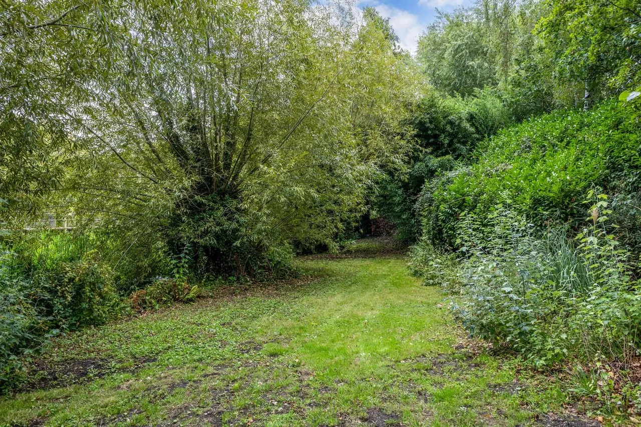 Throop Road, Bournemouth, BH8, photo 24