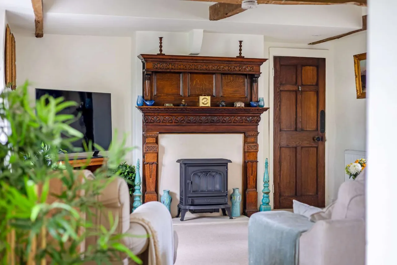 Throop Road, Bournemouth, BH8, photo 11