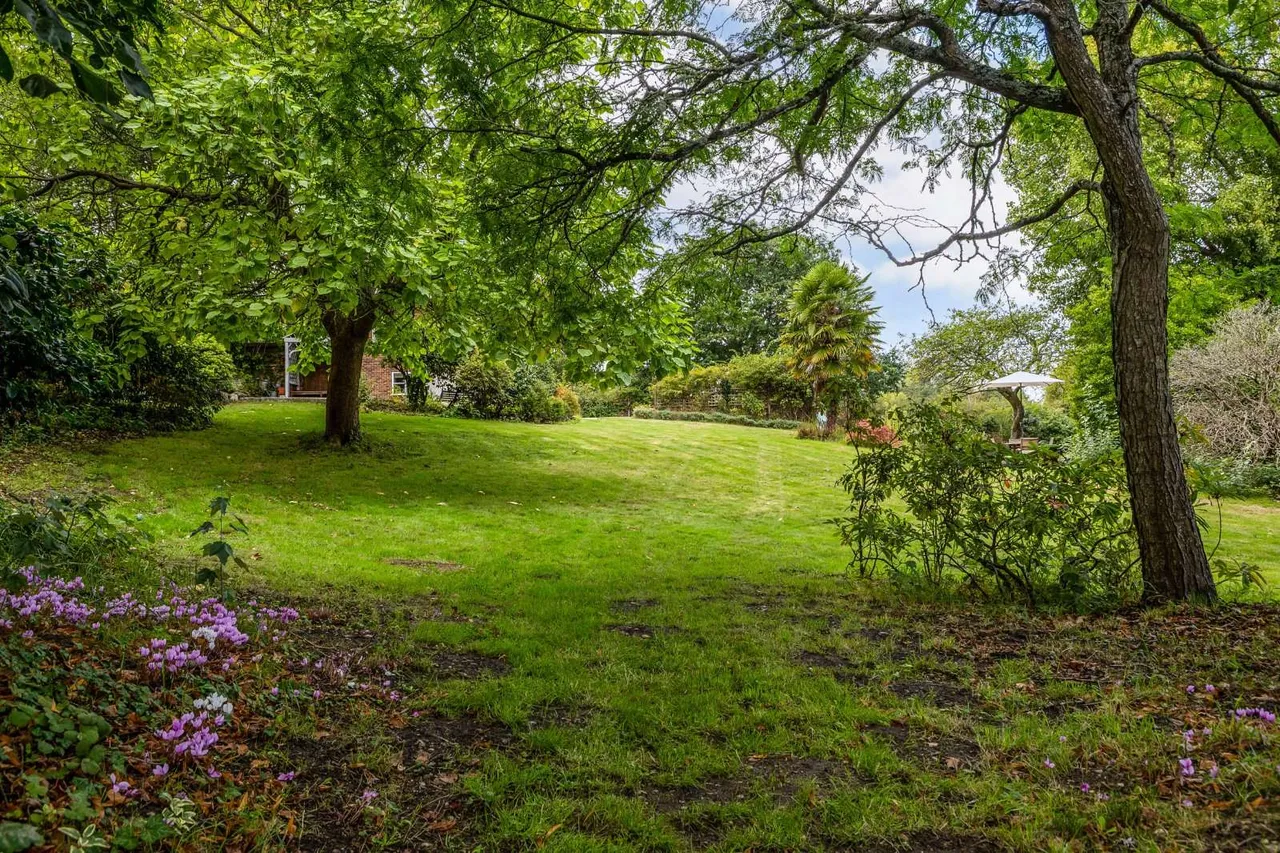 Throop Road, Bournemouth, BH8, photo 23