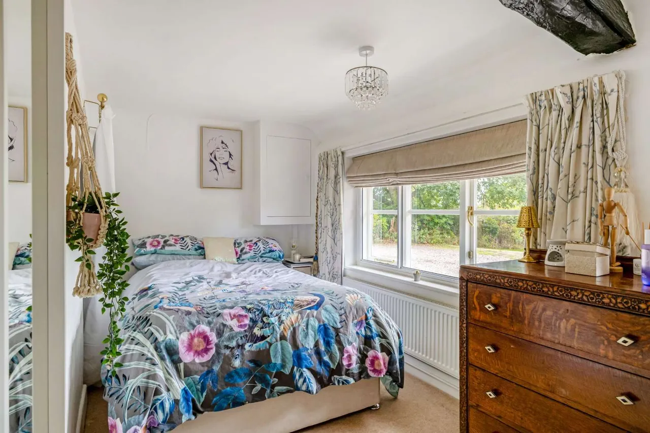 Throop Road, Bournemouth, BH8, photo 16