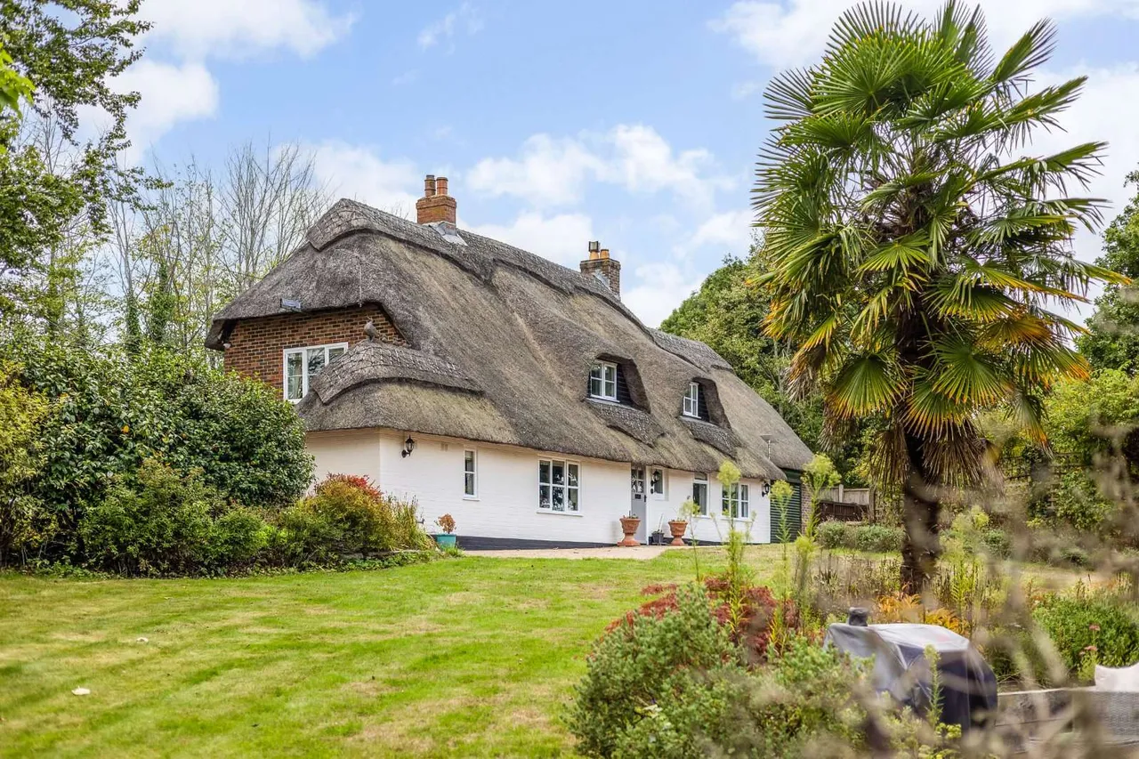 Throop Road, Bournemouth, BH8, photo 26