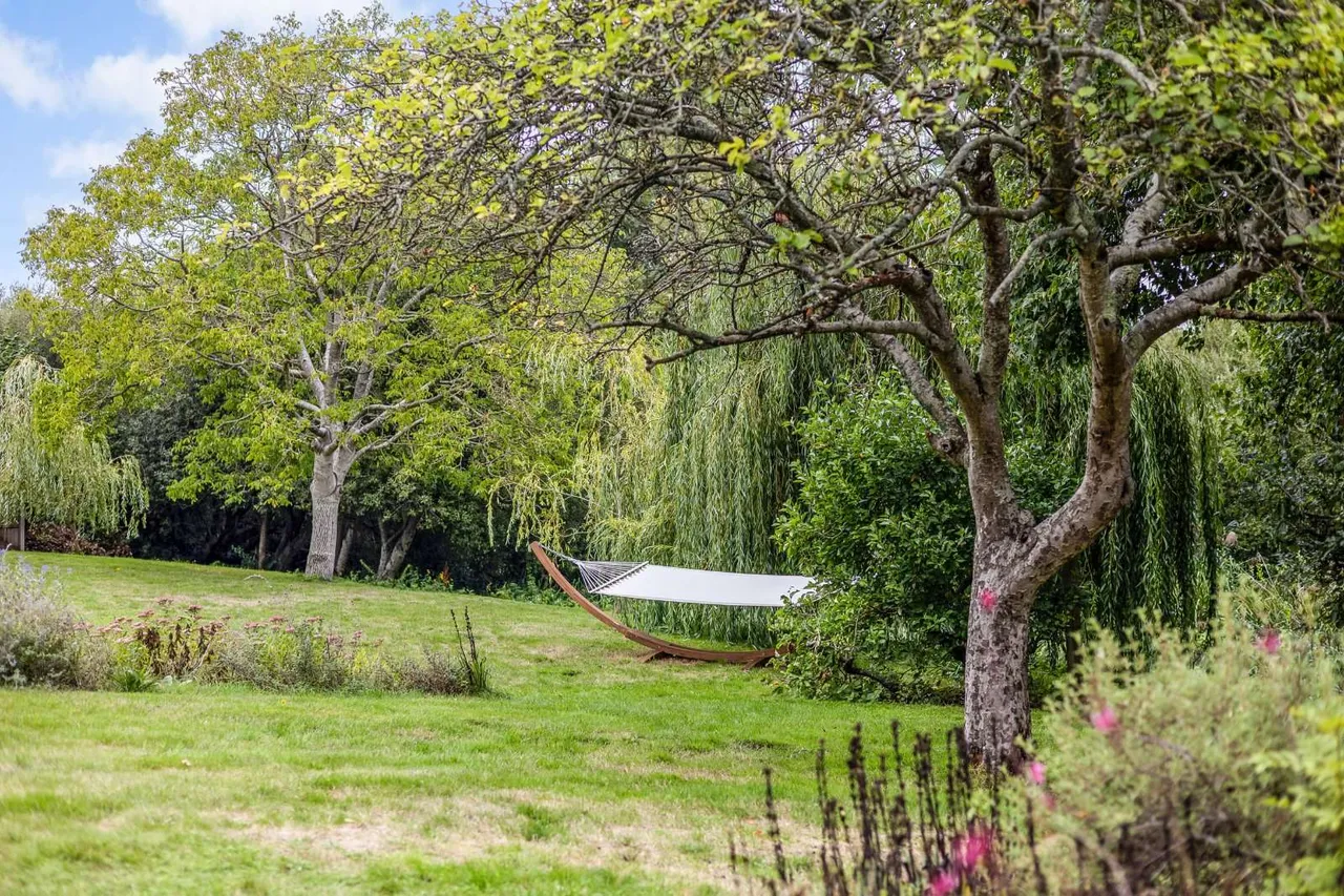 Throop Road, Bournemouth, BH8, photo 20