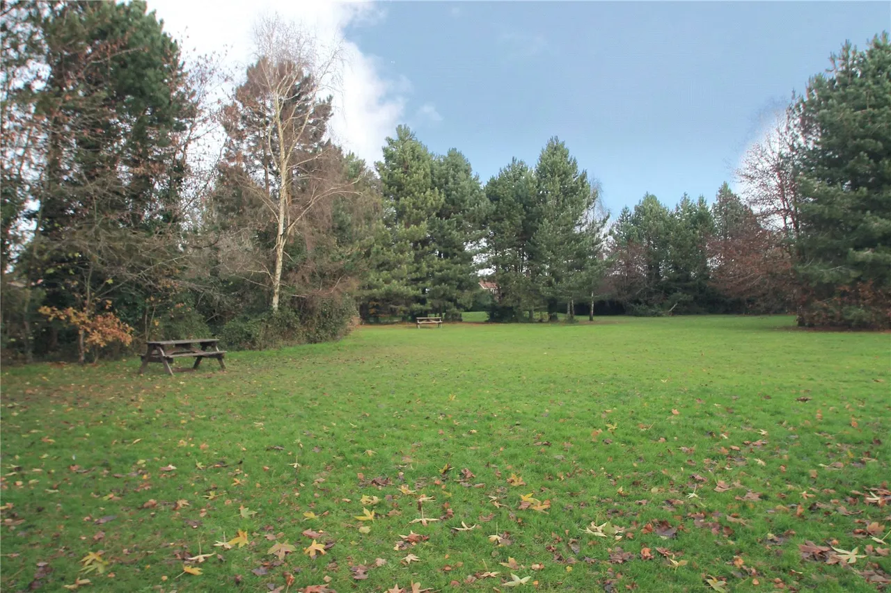 Oak Ridge, West End, Woking, Surrey, GU24 9PJ, photo 8