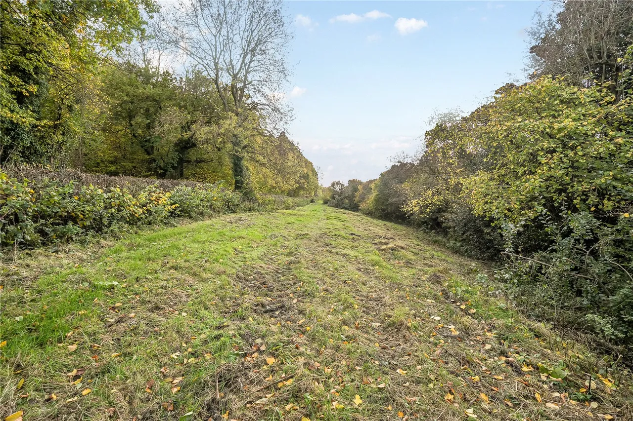 Park Lane, Craven Arms, Shropshire, SY7 9AB, photo 20