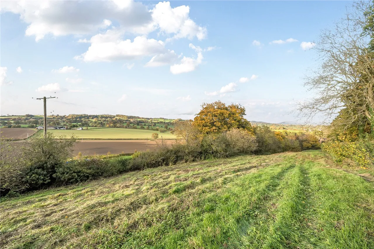 Park Lane, Craven Arms, Shropshire, SY7 9AB, photo 19