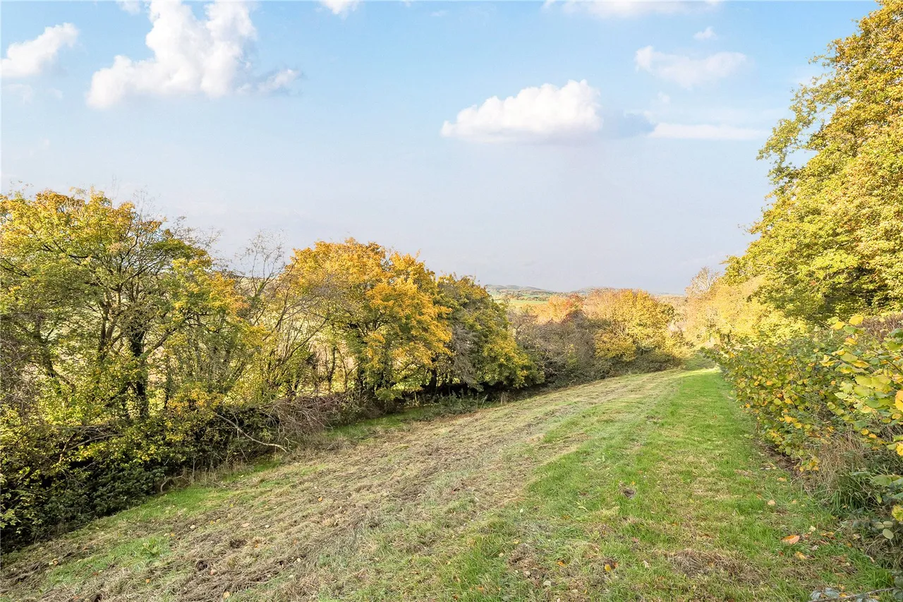 Park Lane, Craven Arms, Shropshire, SY7 9AB, photo 25