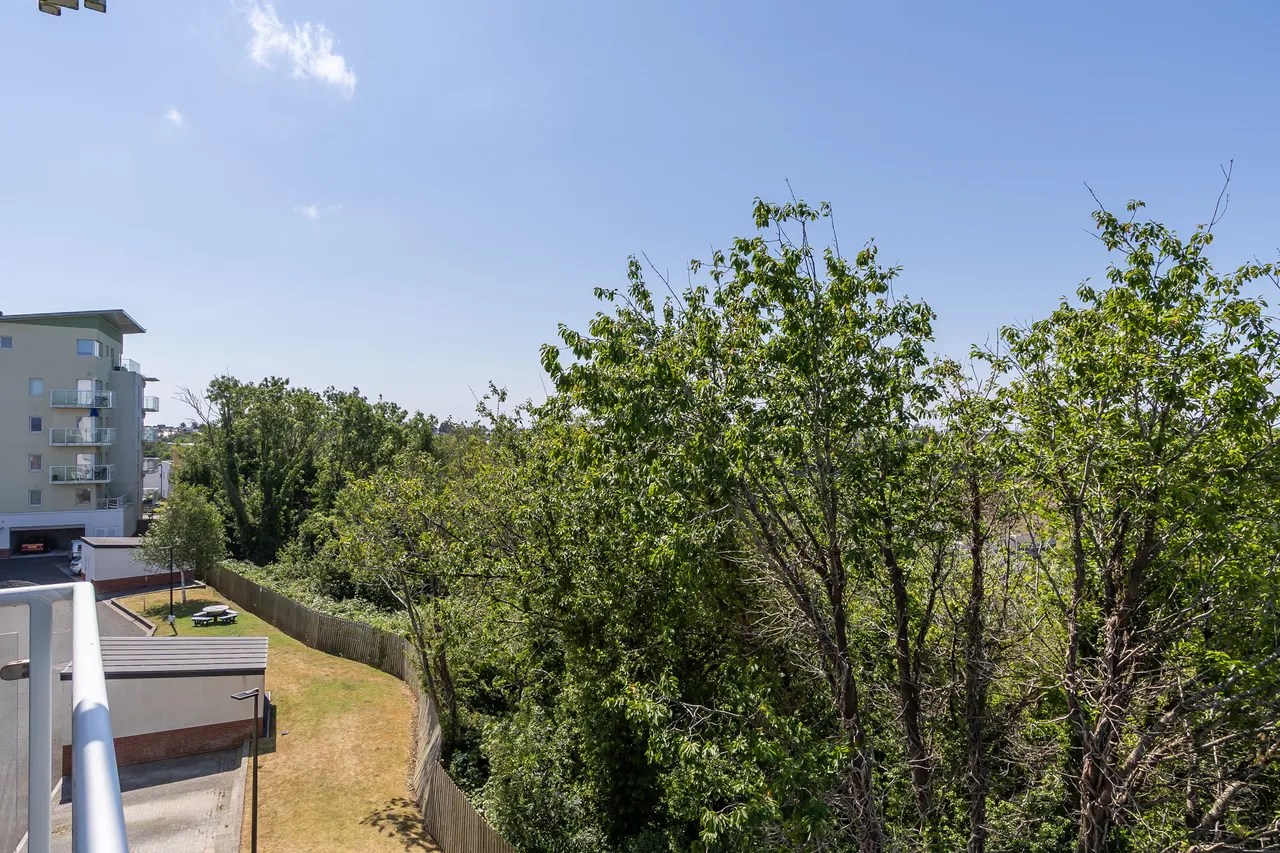 Db, photo 19