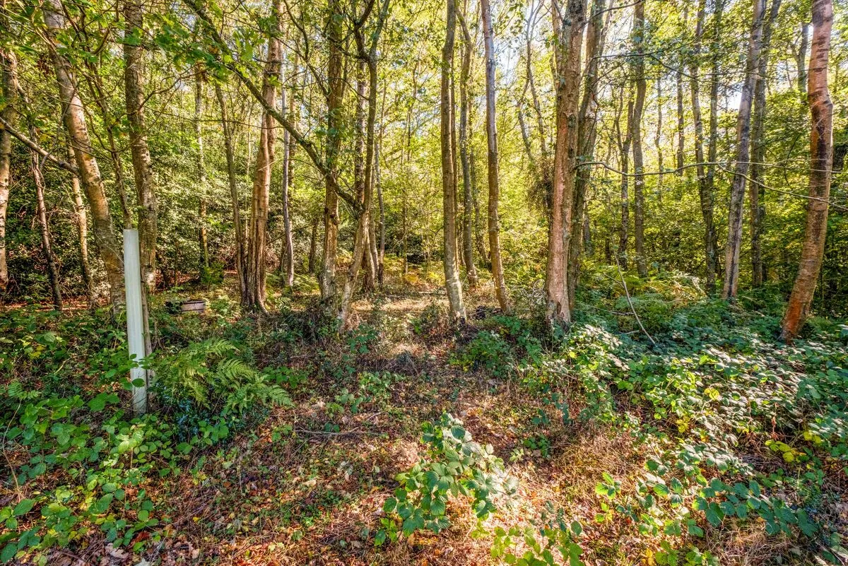 Pottens Mill Lane, Broad Oak, TN21, photo 37