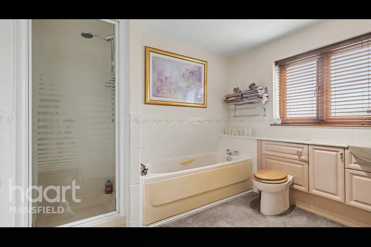 Birch Grove, Mansfield, NG18, photo 29