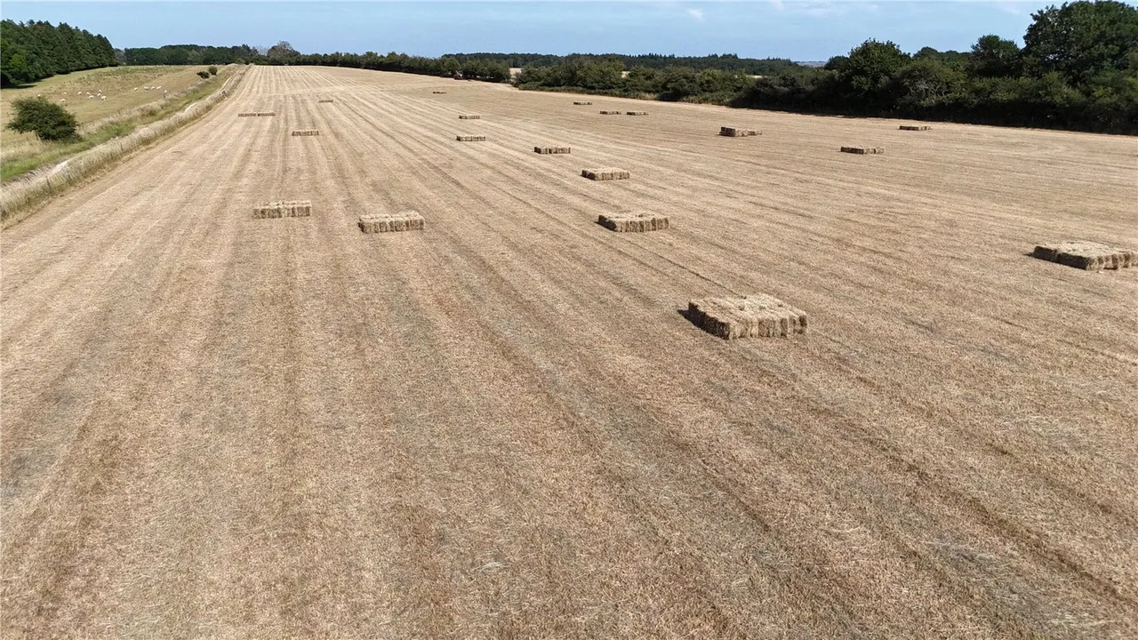 Land At West End Farm, West End, Ebbesbourne Wake, Wiltshire, SP5 5JX, photo 11