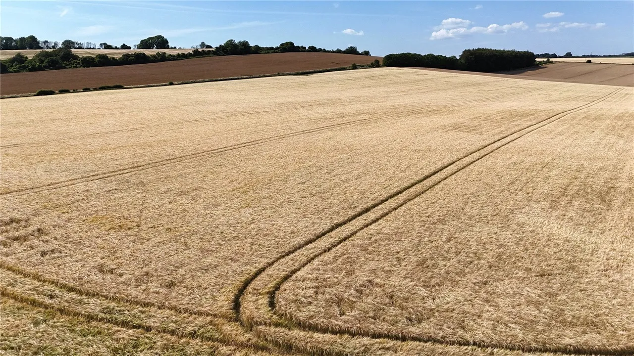 Land At West End Farm, West End, Ebbesbourne Wake, Wiltshire, SP5 5JX, photo 9