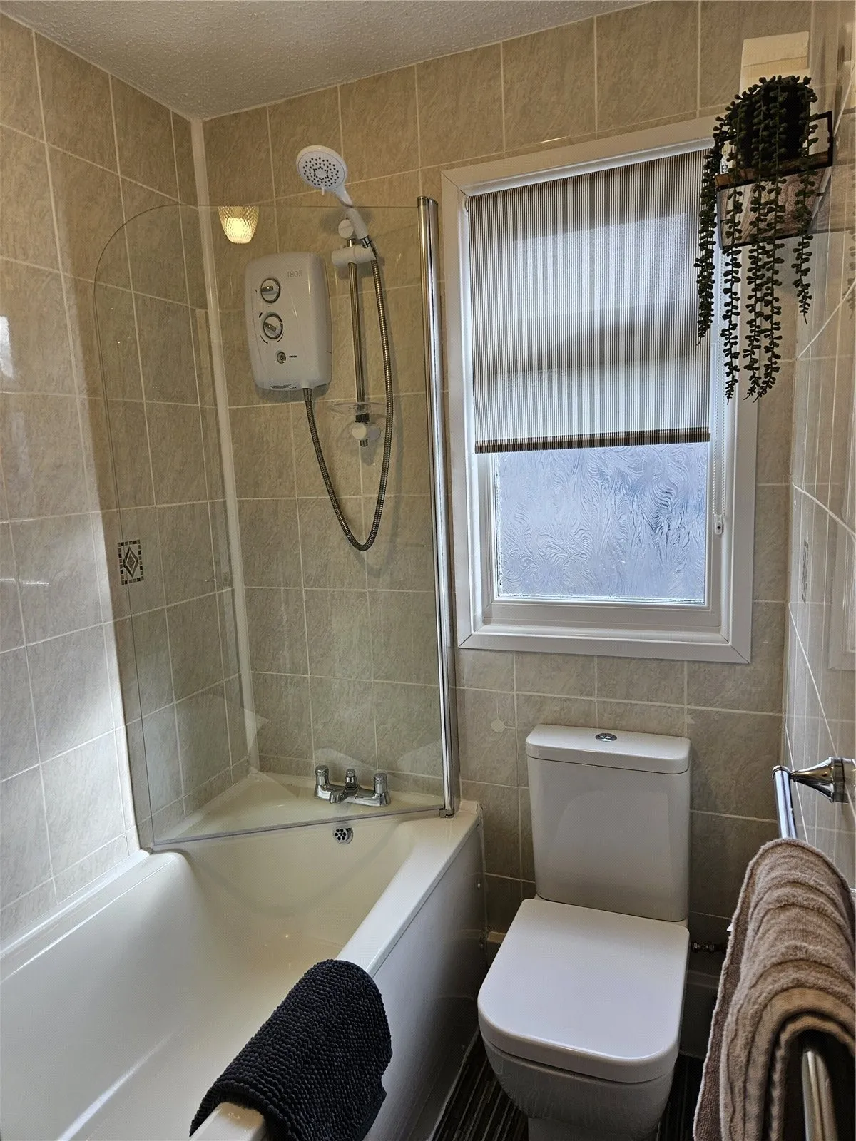 Trewent Park, Freshwater East, SA71, photo 11