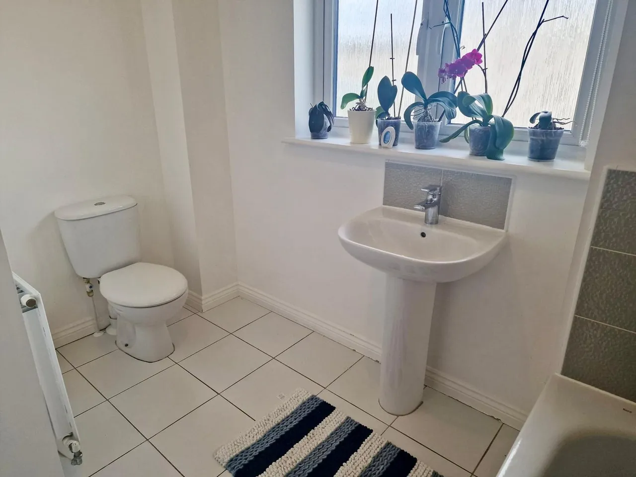 Carmuirs Drive, Motherwell, ML1 5US, photo 19