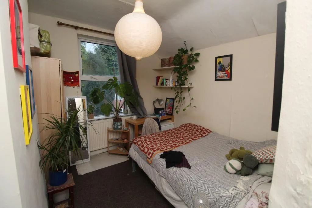 Harrington Drive, Lenton, NG7, photo 10