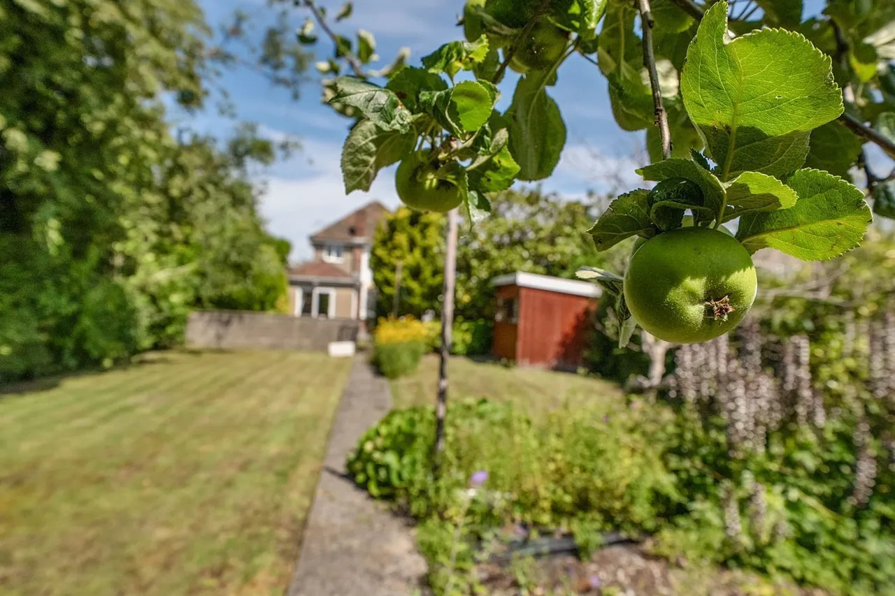 Portway, Wells, BA5, photo 22