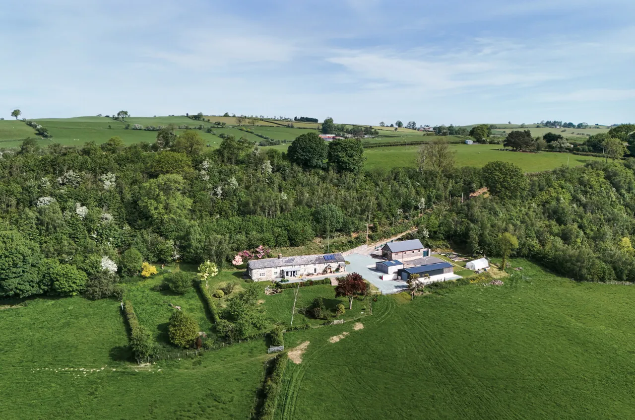 Llanfair Caereinion, Welshpool, photo 49