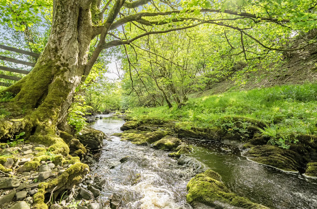 Llanfair Caereinion, Welshpool, photo 39