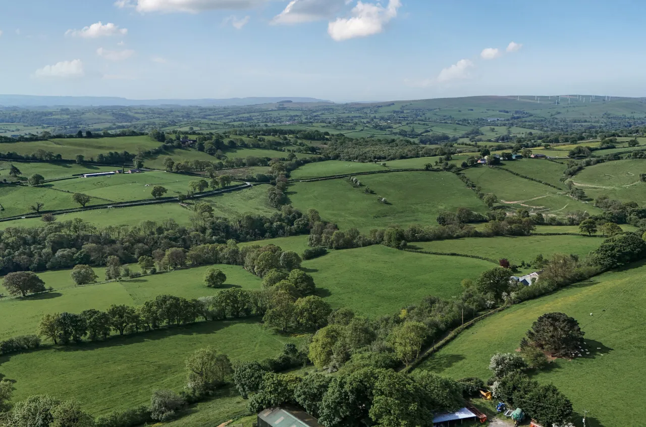Llanfair Caereinion, Welshpool, photo 50