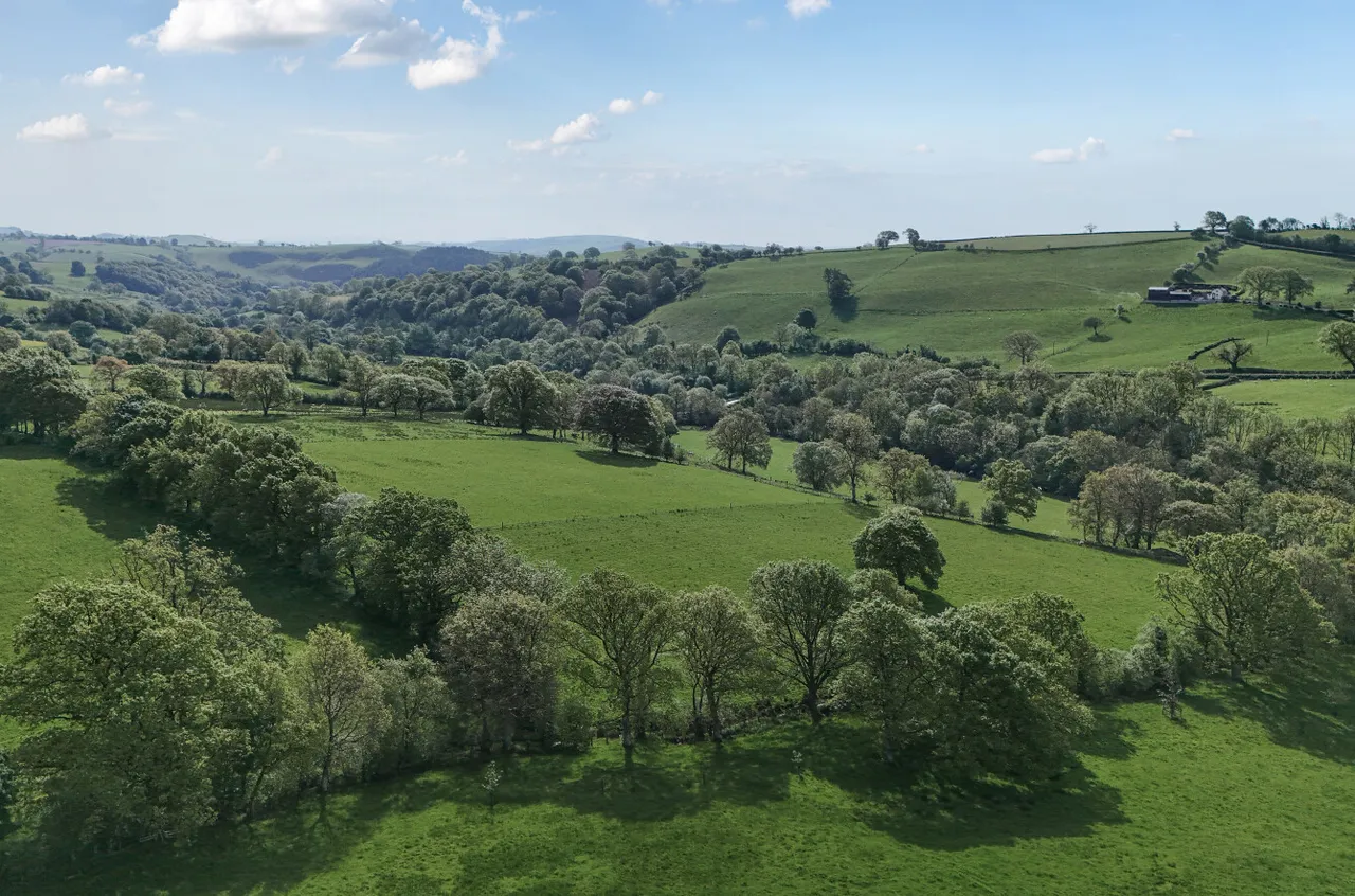 Llanfair Caereinion, Welshpool, photo 51