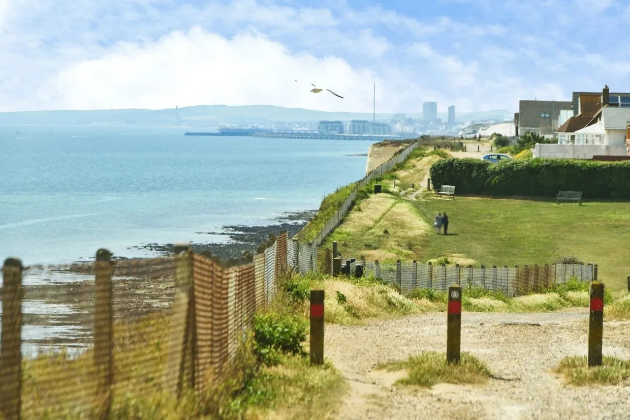 Edith Avenue, Peacehaven, BN10, photo 42