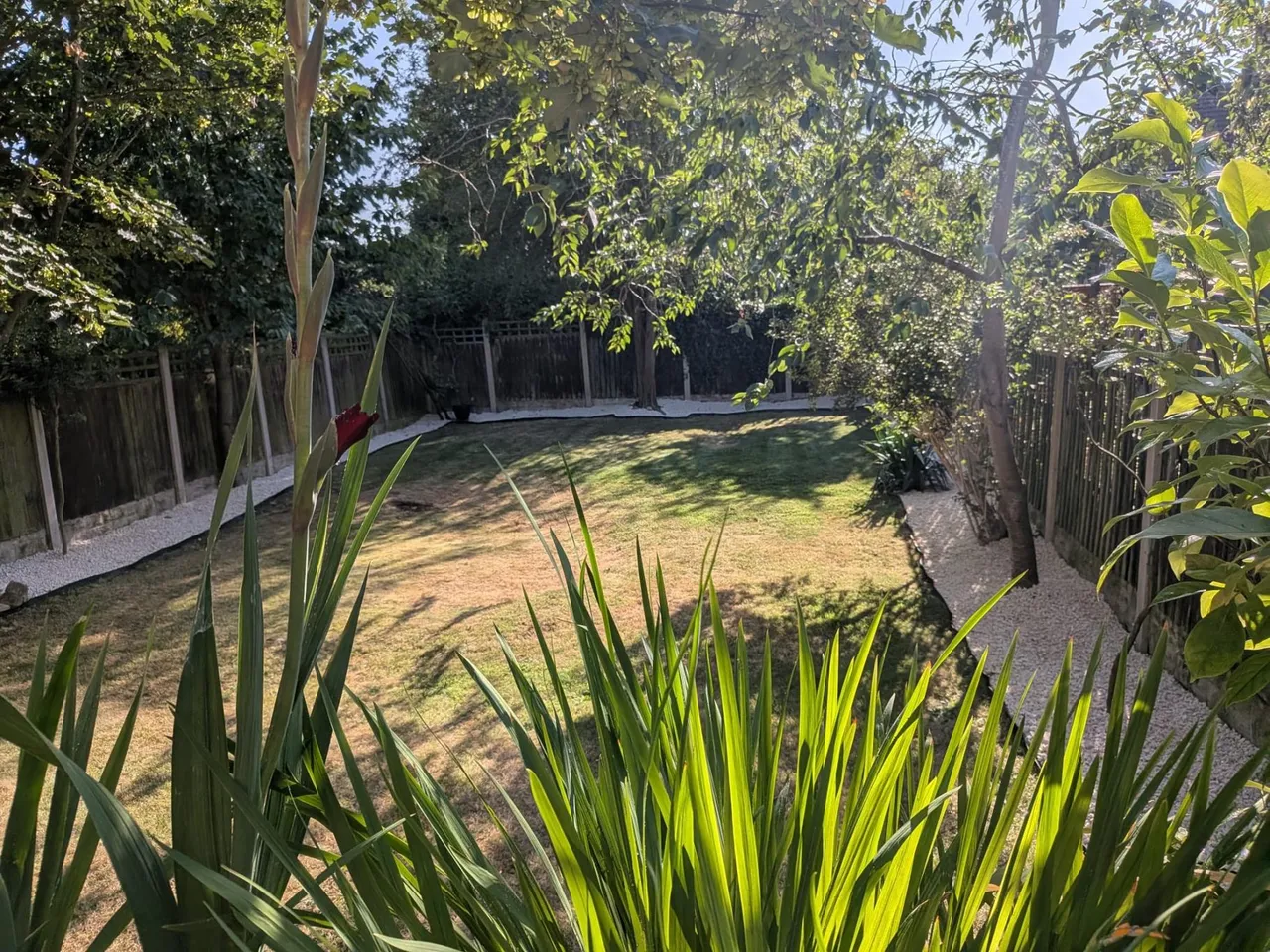 Hawthorne Avenue, Nottingham, NG10, photo 15