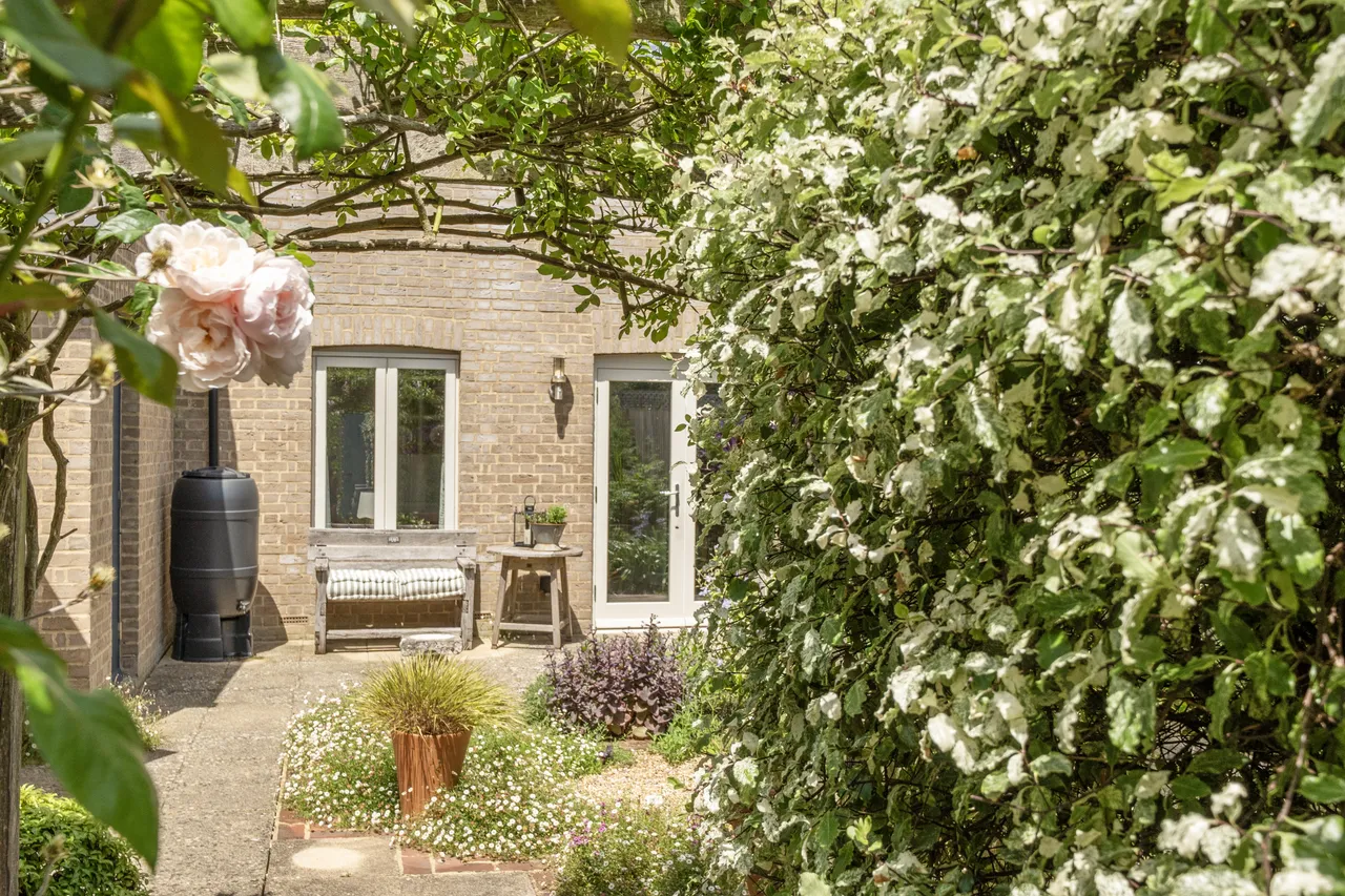 Charlotte Avenue, Chichester, PO19, photo 10