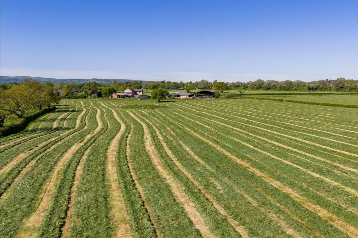 The Green, Higher Kinnerton, Higher Kinnerton, Flintshire, CH4 9BZ, photo 31
