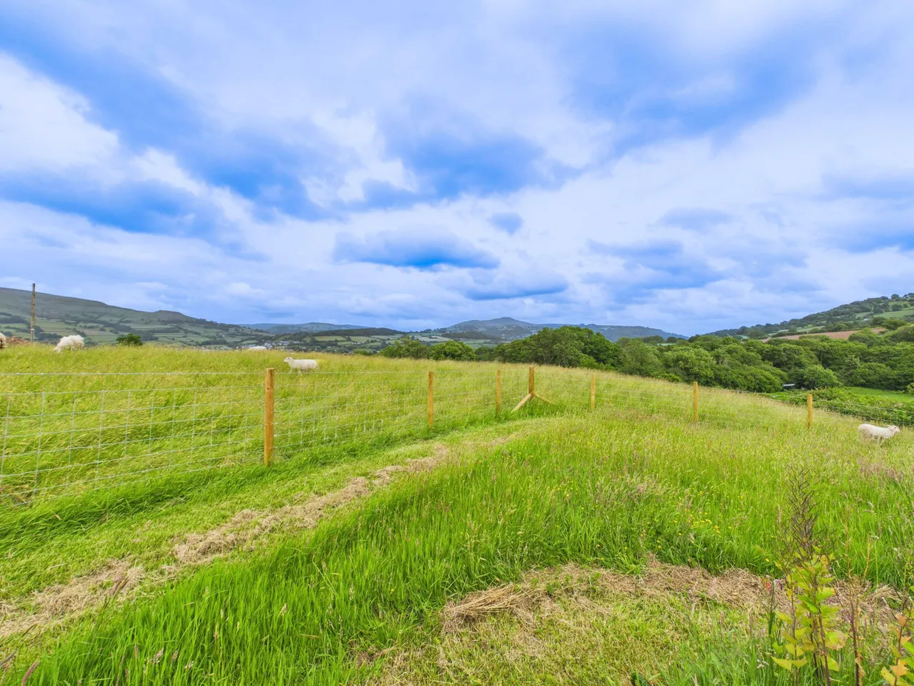 Llangattock, Crickhowell, NP8, photo 52