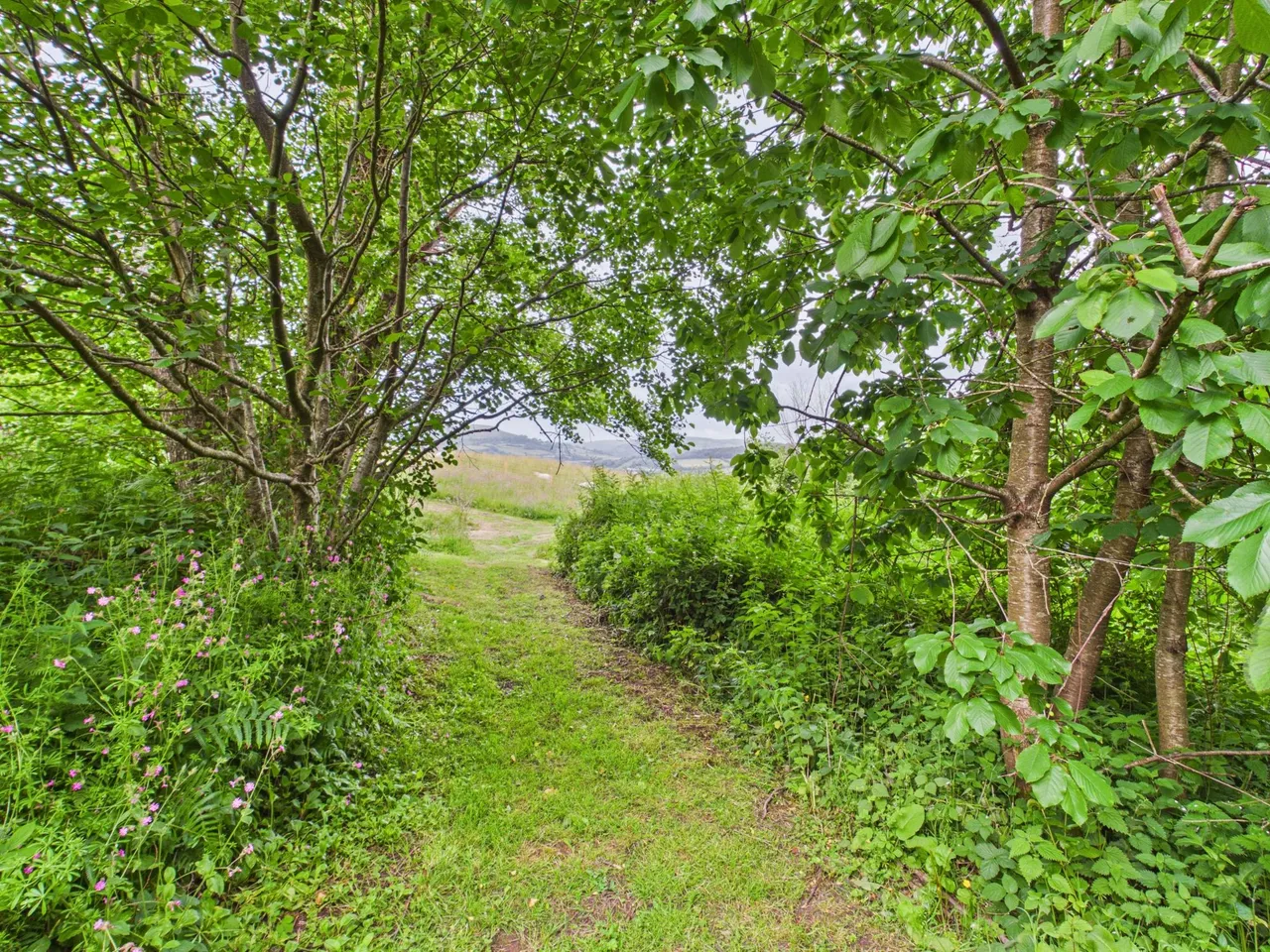 Llangattock, Crickhowell, NP8, photo 50