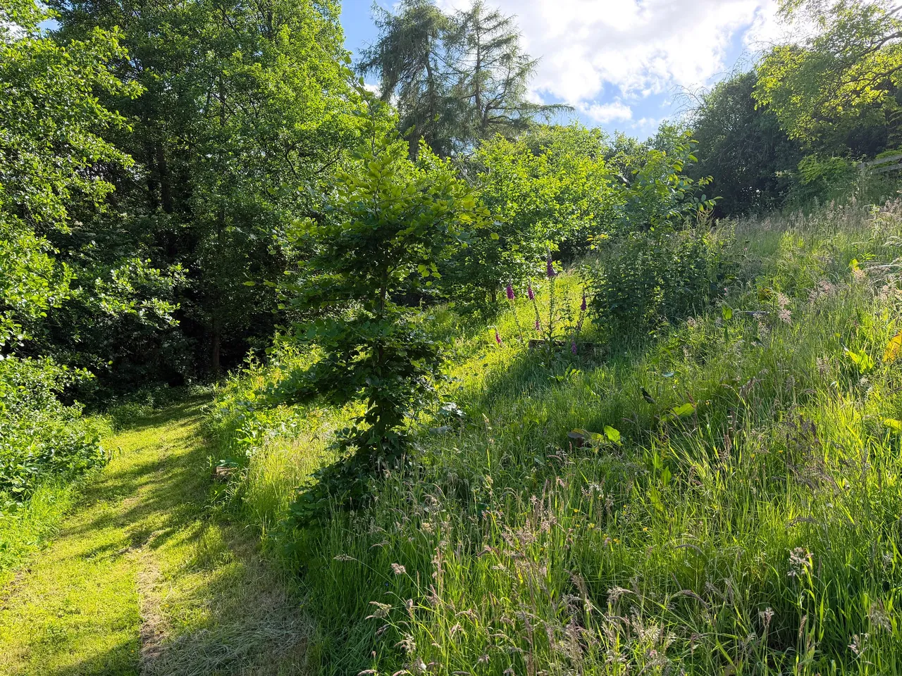 Llangattock, Crickhowell, NP8, photo 47