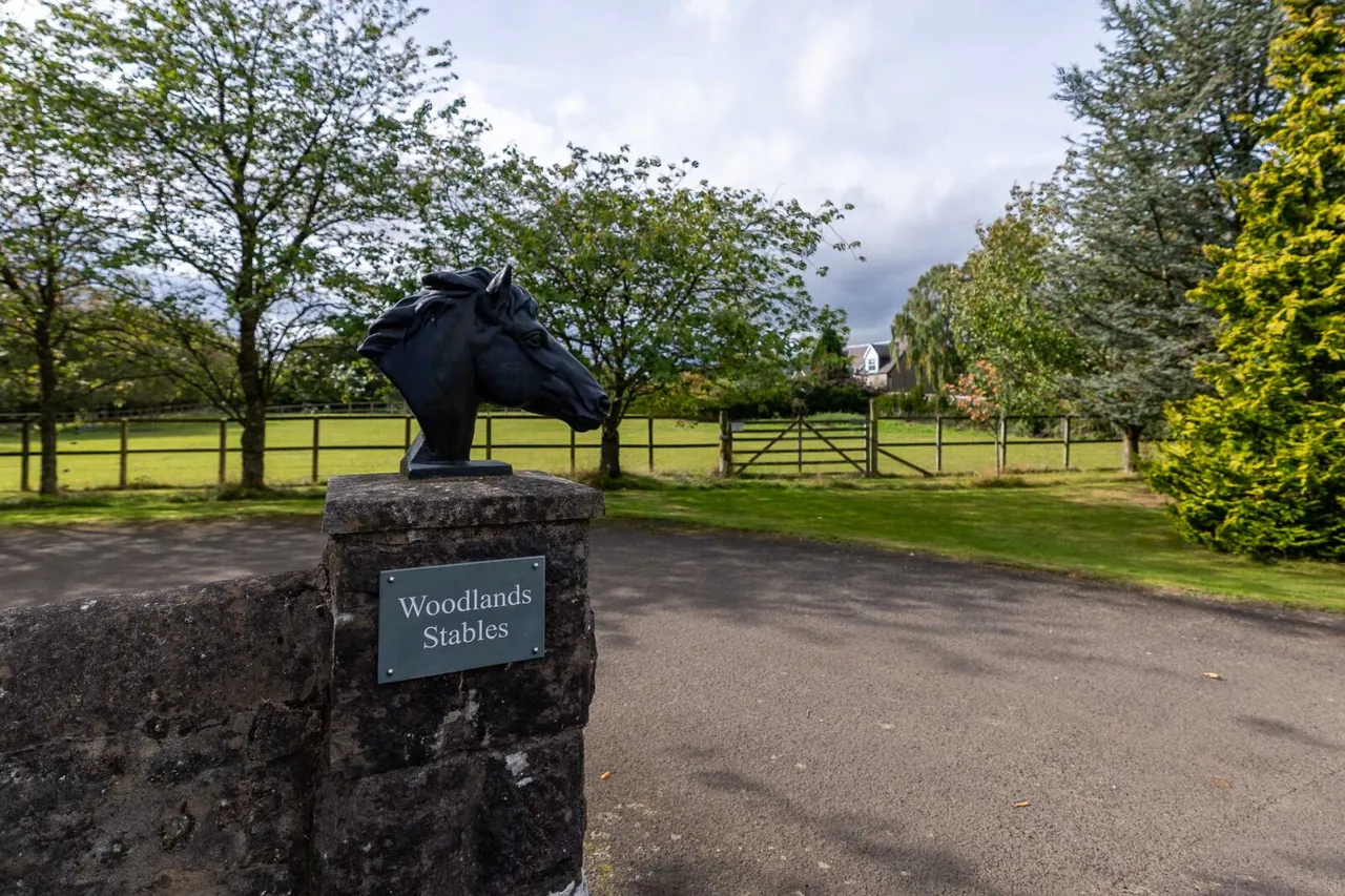 Woodlands Road, Blairgowrie, PH10, photo 7