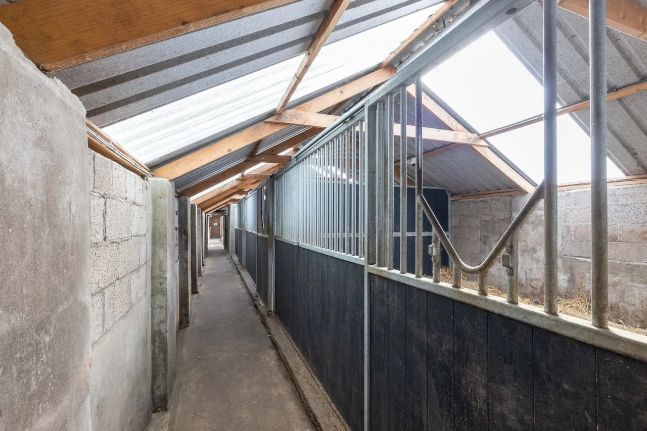 Woodlands Road, Blairgowrie, PH10, photo 33