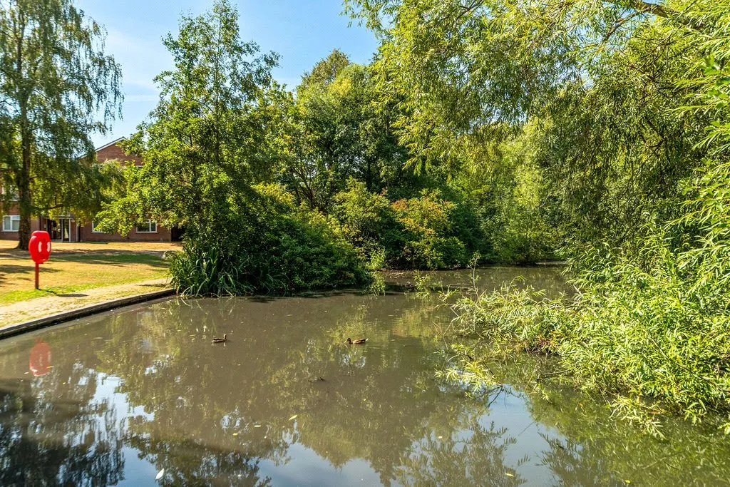 Jervoise Drive, Northfield, Birmingham, B31 2XU, photo 20