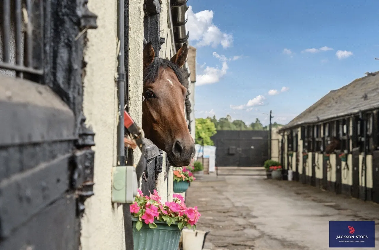 Moulton Road, Newmarket, CB8, photo 18
