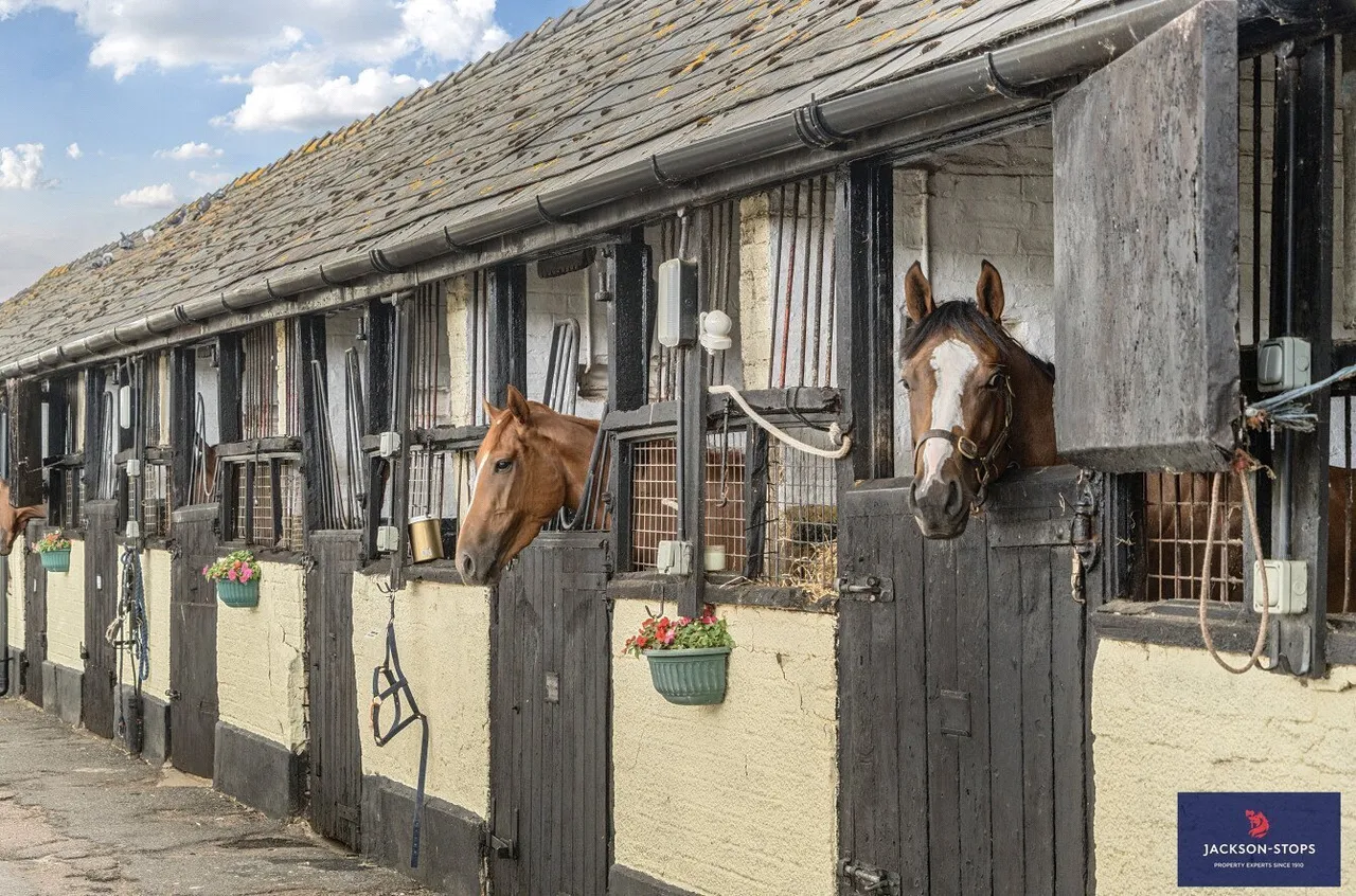 Moulton Road, Newmarket, CB8, photo 14