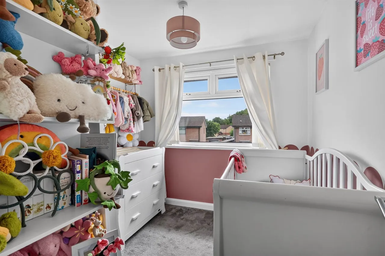 East Mount, Newtownards, BT23, photo 14