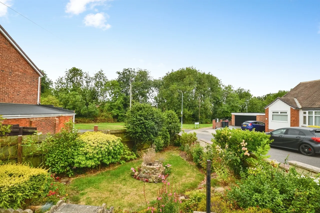 Canton Gardens, Middlesbrough, TS5, photo 16